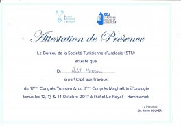 17th congress of Society of Tunisian Urologists, Hammamet, Tunisia - October 2017
